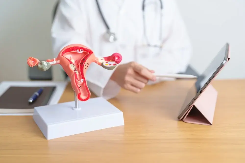 Diretrizes para Pacientes