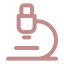 Ícone